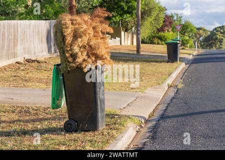 Un sapin de Noël mort s'est transformé en poubelle verte sur un trottoir de quartier à Campbell's Creek dans le centre de Victoria, en Australie Banque D'Images