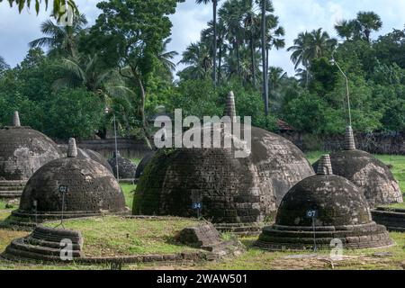 Une section des 20 stupas visibles à Kathurugoda (Kantharodai) ancien Vihara à Chunnakam dans la région de Jaffna au nord du Sri Lanka. Banque D'Images