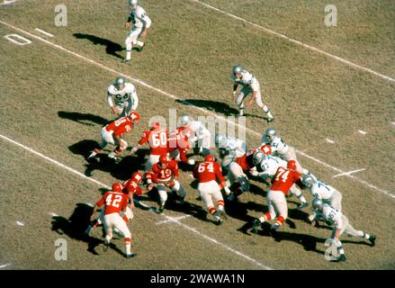 DALLAS, TX - 12 NOVEMBRE : le quarterback Cotton Davidson #19 des Texans de Dallas se prépare à remettre le ballon lors d'un match de l'AFL contre les Bills de Buffalo le 12 novembre 1961 au Cotton Bowl à Dallas, Texas. (Photo de Hy Peskin) *** Légende locale *** Cotton Davidson Banque D'Images