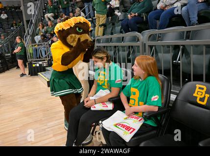 Waco, Texas, États-Unis. 6 janvier 2024. La mascotte de Baylor Lady Bears parle avec les nettoyeurs de terrain avant le match de basket-ball de la NCAA entre les Cougars de Houston et les Baylor Lady Bears au Foster Pavilion à Waco, Texas. Matthew Lynch/CSM/Alamy Live News Banque D'Images