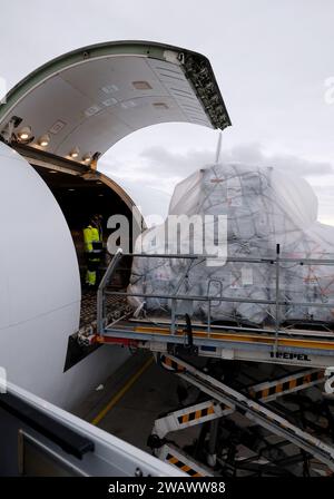 Schkeuditz, Allemagne. 07 janvier 2024. Les secours sont chargés à l'aéroport de Leipzig-Halle. Un avion décollera de là dimanche pour Al-Arish en Egypte. La Croix-Rouge allemande transporte 33 tonnes de fournitures de secours dans la bande de Gaza. Crédit : Sebastian Willnow/dpa/Alamy Live News Banque D'Images