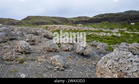 Formations Thrombolite du lac Sarmiento, parc national Torres del Paine, Chili Banque D'Images