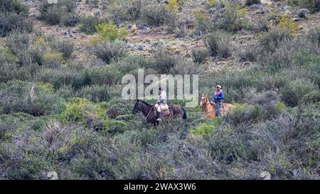 Deux Gauchos à cheval en Patagonie, Argentine Banque D'Images