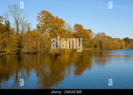 Couleurs automnales dans la campagne kentish, Angleterre, Barden Lake, Tonbridge, Kent, Angleterre Banque D'Images