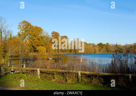 Couleurs automnales dans la campagne kentish, Angleterre, Barden Lake, Tonbridge, Kent, Angleterre Banque D'Images