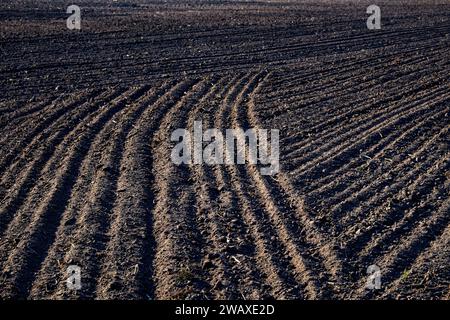 Un champ labouré avec des rangées nettes de terre. Banque D'Images