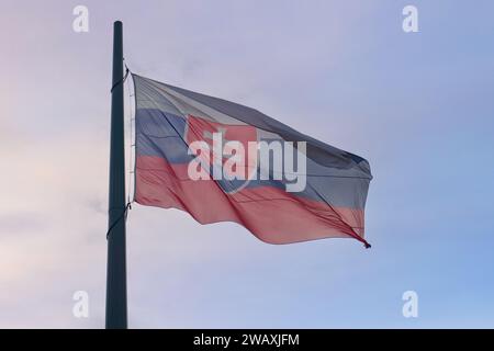 Brandissant le drapeau du pays et de la nation slovaques. Symbolique pour la fête nationale et les élections. Banque D'Images