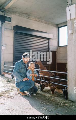 Chèvre se tient appuyée sur la clôture du paddock et renifle les cheveux d'une petite fille debout à côté de papa Banque D'Images