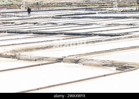 Marais salants d'Aveiro, connus sous le nom de Salinas de Aveiro, Portugal Banque D'Images