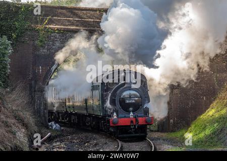 BR '2F' 0-6-0ST No. 51456 passe High Rocks sur le chemin de fer Spa Valley, East Sussex Banque D'Images