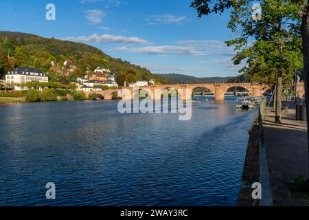 marcher le long de la longue rivière neckar Banque D'Images