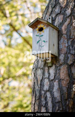 Nichoir d'oiseau maison accroche sur un arbre dans le fond vert de printemps. Image verticale avec fond bokeh. Banque D'Images