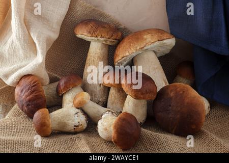 Belle bannière de champignon Boletus edulis sur de vieilles nappes rustiques. Banque D'Images