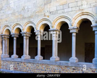 Piliers et arches de la cour médiévale du cloître de la cathédrale Ma Dame à Tongeren en Belgique Banque D'Images