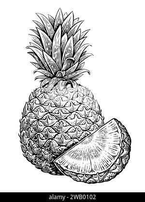 Ananas et morceau. Fruit entier tropical d'été, croquis. Illustration vectorielle dessinée à la main Illustration de Vecteur