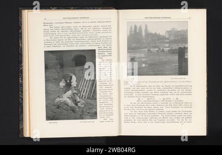 Vue d'un mouton rasé, Frederick Hollyer, c. 1897 - en 1902 ou avant impression photomécanique Berlin cisaillement du papier (mouton) Banque D'Images