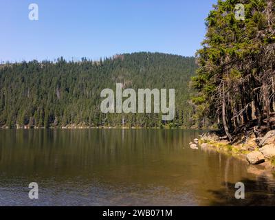 Certovo jezero (lac du diable) dans les montagnes de Sumava en République tchèque Banque D'Images