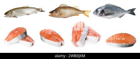 Différents types de poissons crus isolés sur blanc, ensemble Banque D'Images