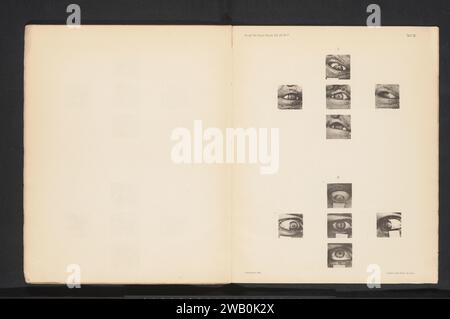 Dix yeux contenant des carrés, allvar gullstrand, c. 1886 - dans ou avant 1896 impression photomécanique yeux collotypes en papier Stockholm Banque D'Images