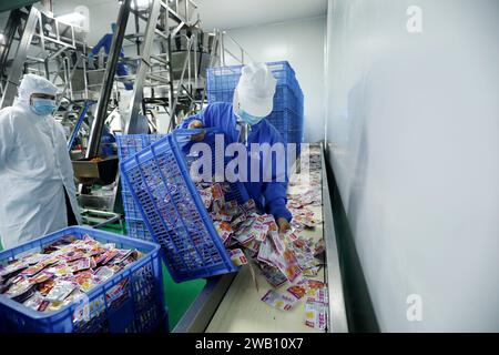 ZIXING, CHINE - 4 JANVIER 2024 - des travailleurs produisent des produits de la pêche dans un atelier d'une entreprise d'aliments naturels dans la ville de Zixing, province du Hunan, Chine, en janvier Banque D'Images