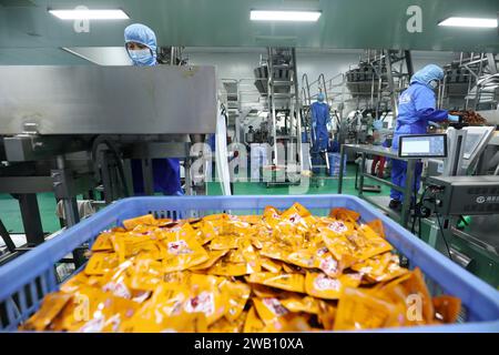 ZIXING, CHINE - 4 JANVIER 2024 - des travailleurs produisent des produits de la pêche dans un atelier d'une entreprise d'aliments naturels dans la ville de Zixing, province du Hunan, Chine, en janvier Banque D'Images
