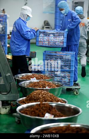 ZIXING, CHINE - 4 JANVIER 2024 - des travailleurs produisent des produits de la pêche dans un atelier d'une entreprise d'aliments naturels dans la ville de Zixing, province du Hunan, Chine, en janvier Banque D'Images