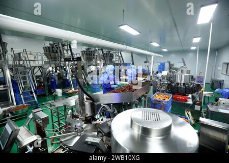ZIXING, CHINE - 4 JANVIER 2024 - des travailleurs produisent des produits de la pêche dans un atelier d'une entreprise d'aliments naturels dans la ville de Zixing, province du Hunan, Chine, en janvier Banque D'Images
