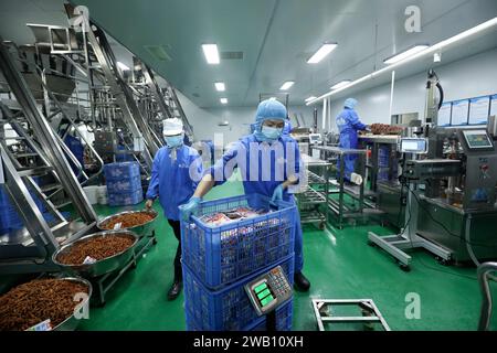 ZIXING, CHINE - 4 JANVIER 2024 - des travailleurs produisent des produits de la pêche dans un atelier d'une entreprise d'aliments naturels dans la ville de Zixing, province du Hunan, Chine, en janvier Banque D'Images