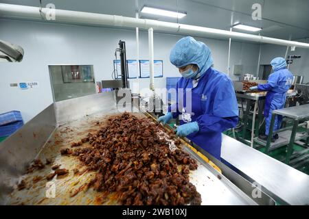 ZIXING, CHINE - 4 JANVIER 2024 - des travailleurs produisent des produits de la pêche dans un atelier d'une entreprise d'aliments naturels dans la ville de Zixing, province du Hunan, Chine, en janvier Banque D'Images