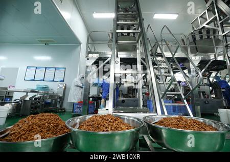 ZIXING, CHINE - 4 JANVIER 2024 - des travailleurs produisent des produits de la pêche dans un atelier d'une entreprise d'aliments naturels dans la ville de Zixing, province du Hunan, Chine, en janvier Banque D'Images