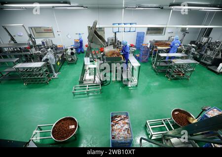 ZIXING, CHINE - 4 JANVIER 2024 - des travailleurs produisent des produits de la pêche dans un atelier d'une entreprise d'aliments naturels dans la ville de Zixing, province du Hunan, Chine, en janvier Banque D'Images