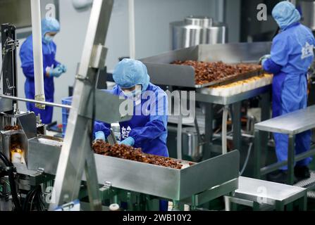 ZIXING, CHINE - 4 JANVIER 2024 - des travailleurs produisent des produits de la pêche dans un atelier d'une entreprise d'aliments naturels dans la ville de Zixing, province du Hunan, Chine, en janvier Banque D'Images