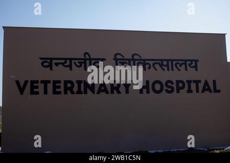Dehradun, Uttarakhand Inde-août 17 2023- l'hôpital vétérinaire d'Uttarakhand, où les soins compatissants rencontrent une beauté naturelle à couper le souffle Banque D'Images