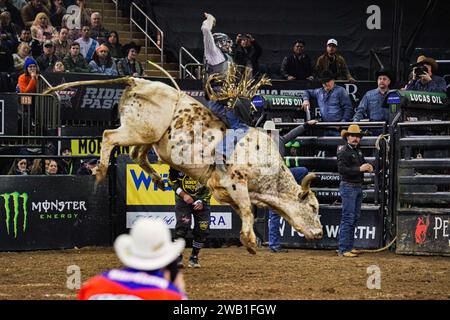 New York City, New York - 7 JANVIER : Vitor Losnake monte Twisted Feather pour 81 points au PBR Unleash the Beast au Madison Square Garden le 7 janvier 2024 à NYC, New York, États-Unis. (Photo de Matt Davies/PxImages/Sipa USA) Banque D'Images