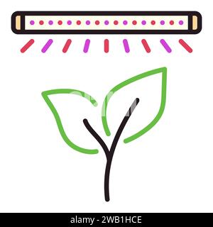 Plante sous Phyto Lamp vecteur Grow Light et Jardinage concept icône ou signe coloré Illustration de Vecteur