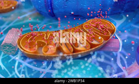 Illustration 3D abstraite de la cellule biologique et des mitochondries Banque D'Images