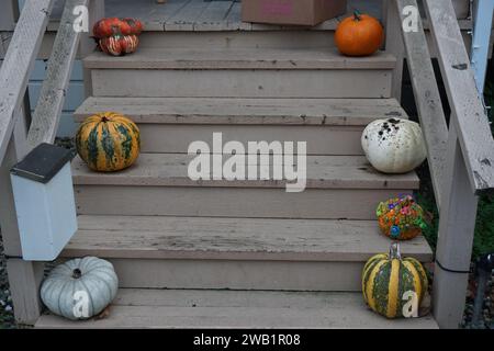 escalier avec citrouilles colorées dans les vallées de napa et sonoma, ca, usa en hiver Banque D'Images