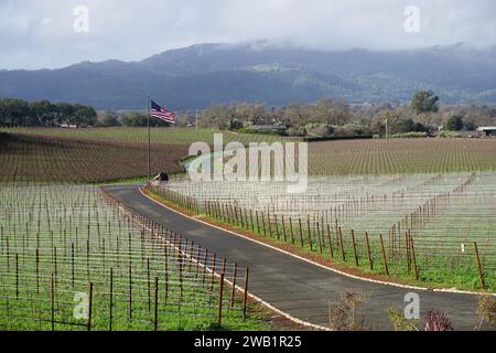 vue sur les vignobles des vallées de napa et sonoma, ca, usa en hiver Banque D'Images