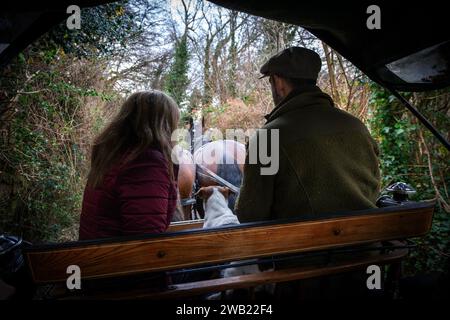 Le Shire est une race britannique de chevaux de trait. Il est généralement noir, Laurier ou gris. C'est une grande race, et Shire excursions à cheval à North Bovey Dartmoor Banque D'Images