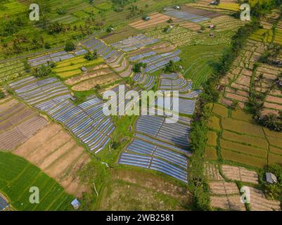 Vue aérienne des rizières dans la région de Sidemen à Bali, Indonésie Banque D'Images