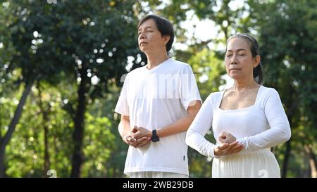 Image d'un couple senior paisible faisant de l'exercice de Qi Gong ou de Tai Chi dans le parc d'été. Banque D'Images