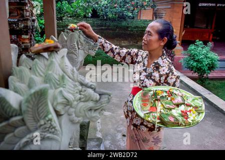 Indonésie, Bali - une femme offre du riz et des fruits aux dieux hindous dans un petit sanctuaire à la maison. Banque D'Images
