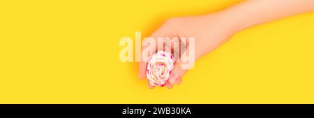 Bannière avec la main tenir fleur rose rose sur un fond jaune. Banque D'Images