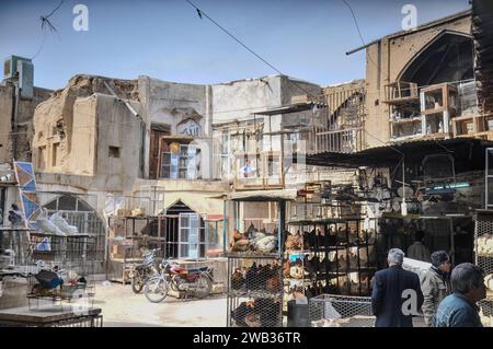 Garçon qui ressemblait à être enfermé dans une cage dans le marché aux oiseaux à Bazar-e Bozorg (Grand Bazar), Ispahan, Iran Banque D'Images