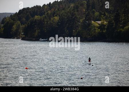 Un paddle boarder dans Iskar Reservoir Bulgarie. Belle nature. Personne sur l'eau sous les montagnes. Banque D'Images