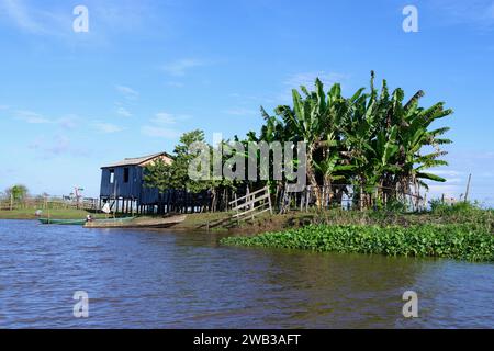 Maison en bois sur pilotis dans la lagune d'Itapicuru, État de Para, Brésil Banque D'Images