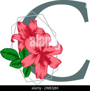 Beau monogramme isolé avec lettre majuscule C conçu sur fond transparent pour les cartes de voeux et invitations de mariage Illustration de Vecteur