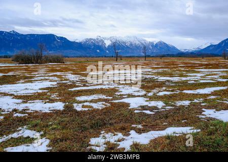 DEU, Deutschland, Bayern, Murnau, 13.12.2023 : Blick nach Süden über das Naturschutzgebiet Murnauer Moos in Oberbayern *** DEU, Germany, Bavaria, Murnau, 13 12 2023 vue au sud sur la réserve naturelle de Murnauer Moos en haute-Bavière Banque D'Images