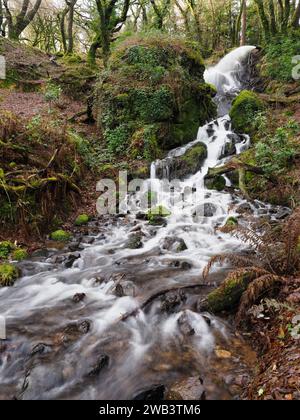 Cascade alimentant l'eau de Drake's Leat au réservoir Burrator dans le parc national de Dartmoor, Devon, Angleterre Banque D'Images