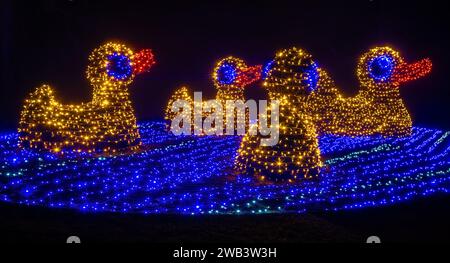 Mainau, Allemagne - 27 décembre 2023 : un jardin de Noël est un événement de Noël avec de belles créations lumineuses et illuminations sur l'île de Mainau Banque D'Images
